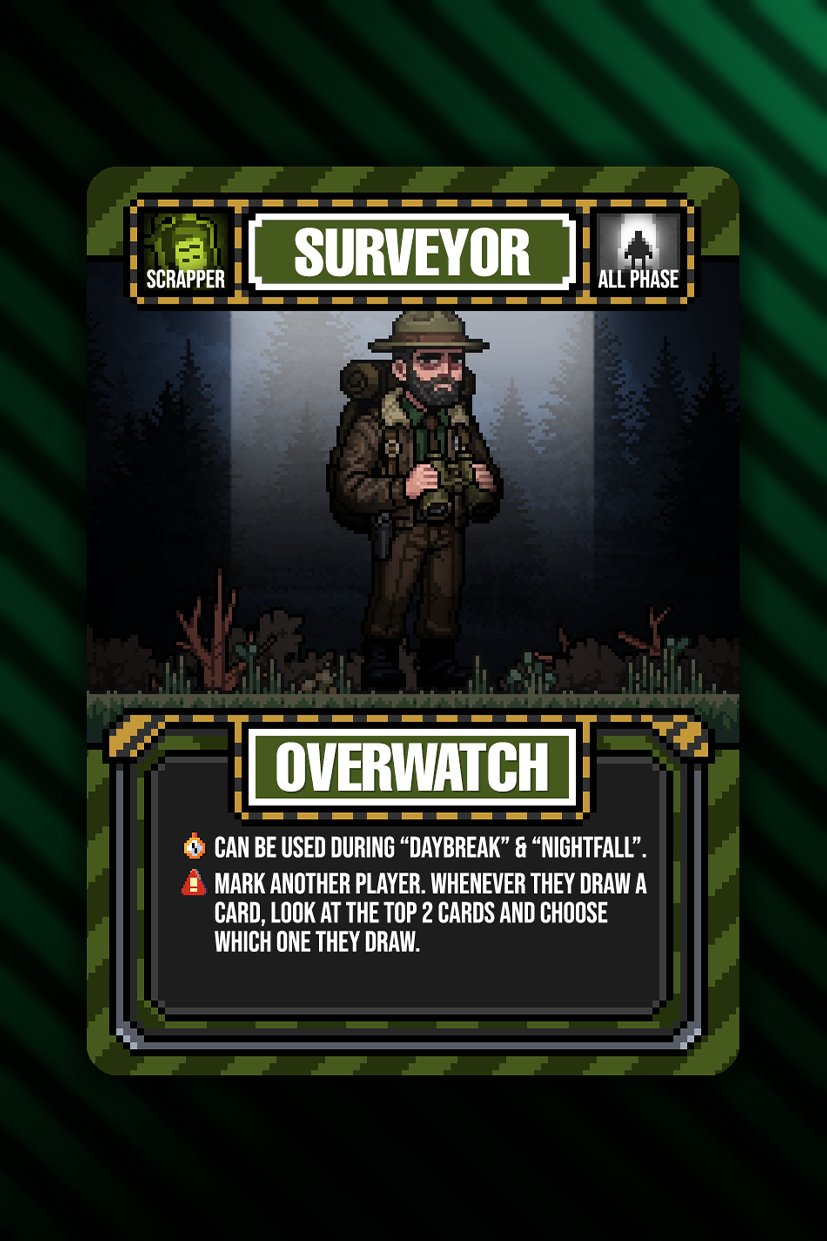 Surveyor — full readout